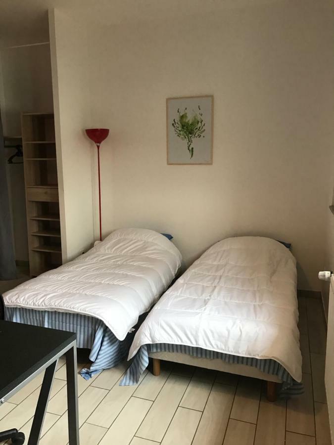 Les Studines Apartment Roanne Exterior photo